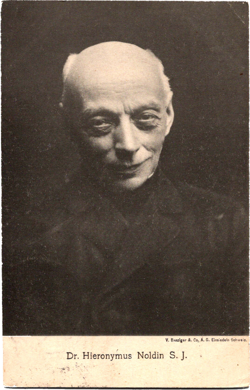 a man in a black shirt