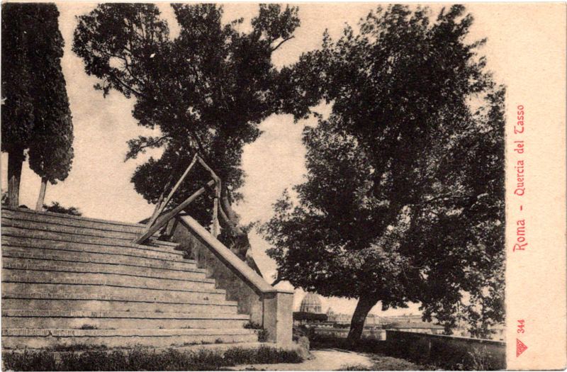 a tree next to a staircase