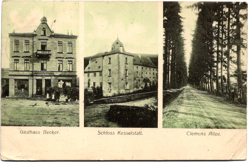 buildings with trees