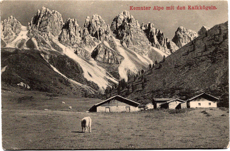 a sheep grazing in a field with mountains in the background